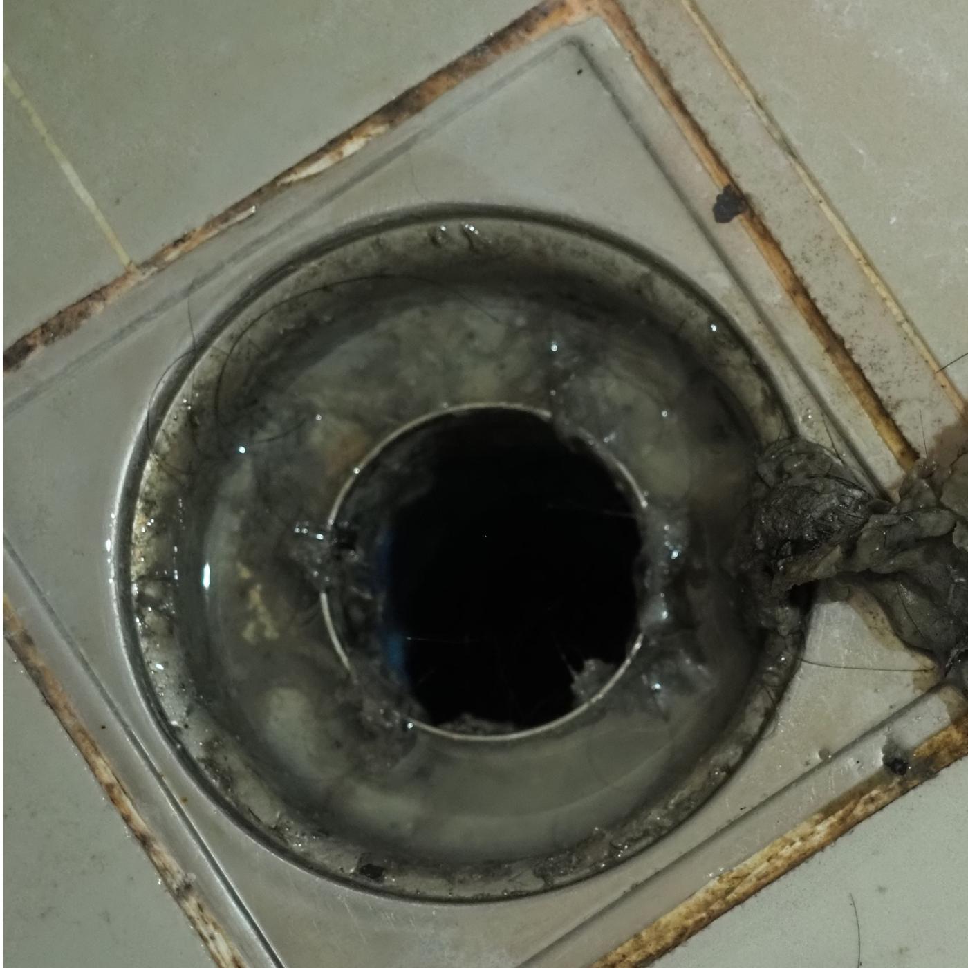Close-up of a dirty shower floor drain with the cover removed and buildup around the opening