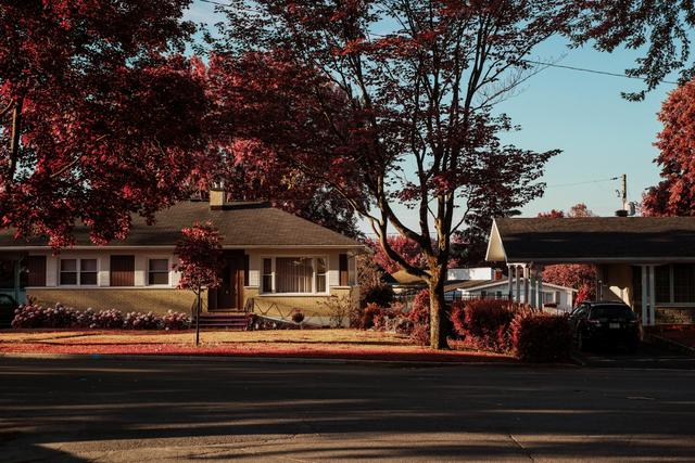 Single story house on a tree lined street